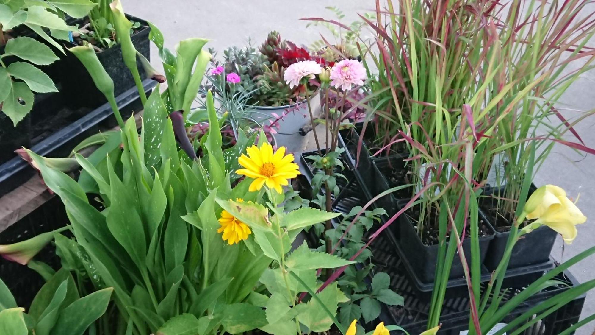 Colborne Bed And Breakfast Goderich Esterno foto